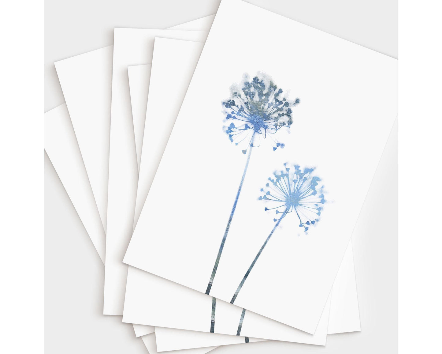Set of greeting cards featuring a minimalist watercolor illustration of two blue allium flowers on white cardstock, shown fanned out in a neat stack on a light background.