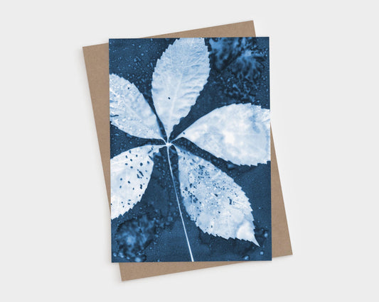 Cyanotype-style print of a five-leaf cluster, rendered in deep blue and white tones, with fine details of leaf veins and speckled textures visible against a dark, mottled background.