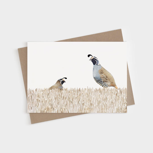 Minimalist greeting card featuring a watercolor illustration of two California quail standing in tall beige grass, one larger and one smaller, with a clean white background. Card is displayed with a brown kraft envelope.