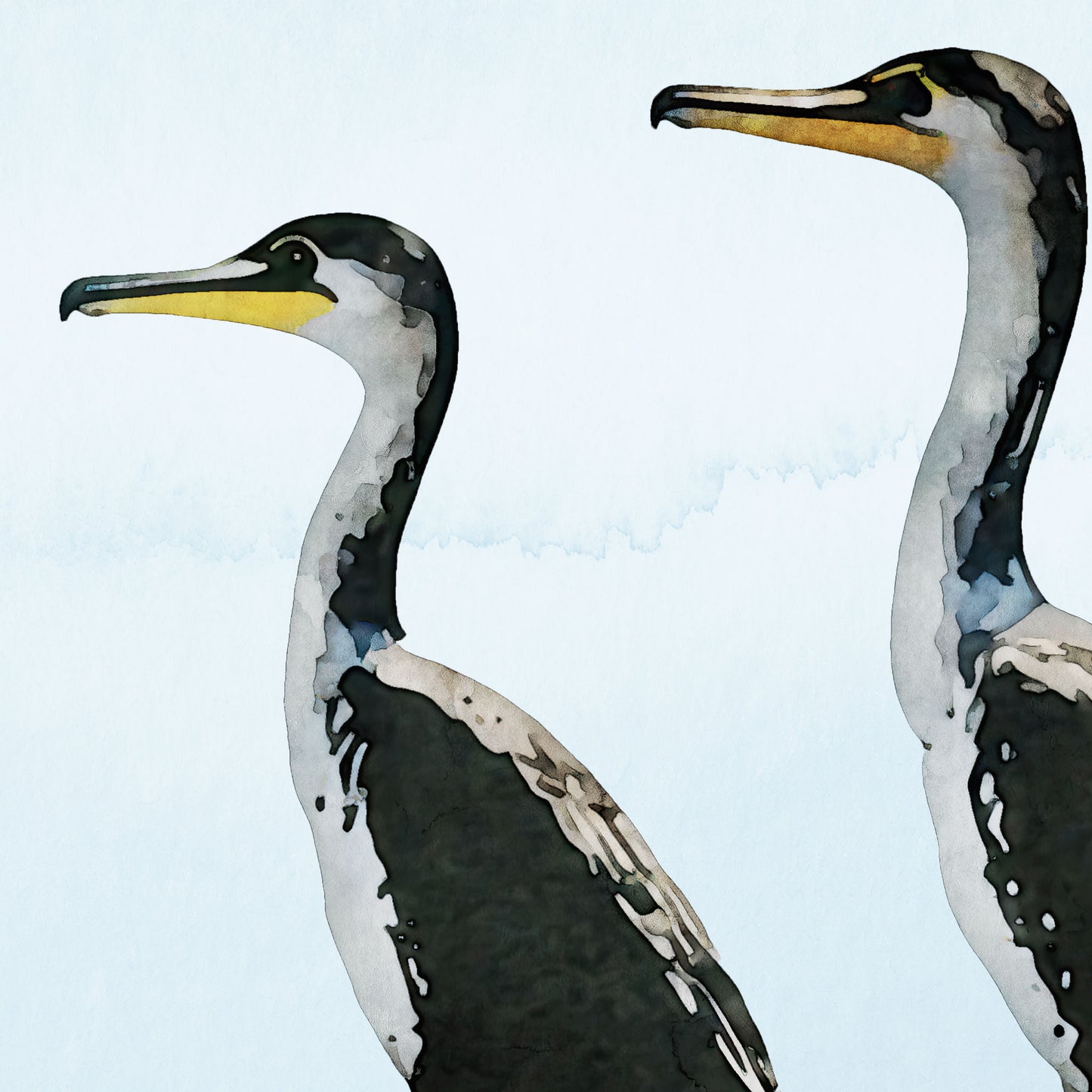 Close-up of a greeting card, featuring a digital painting of three cormorants standing on a weathered white dock overlooking calm blue ocean water under a pale sky.