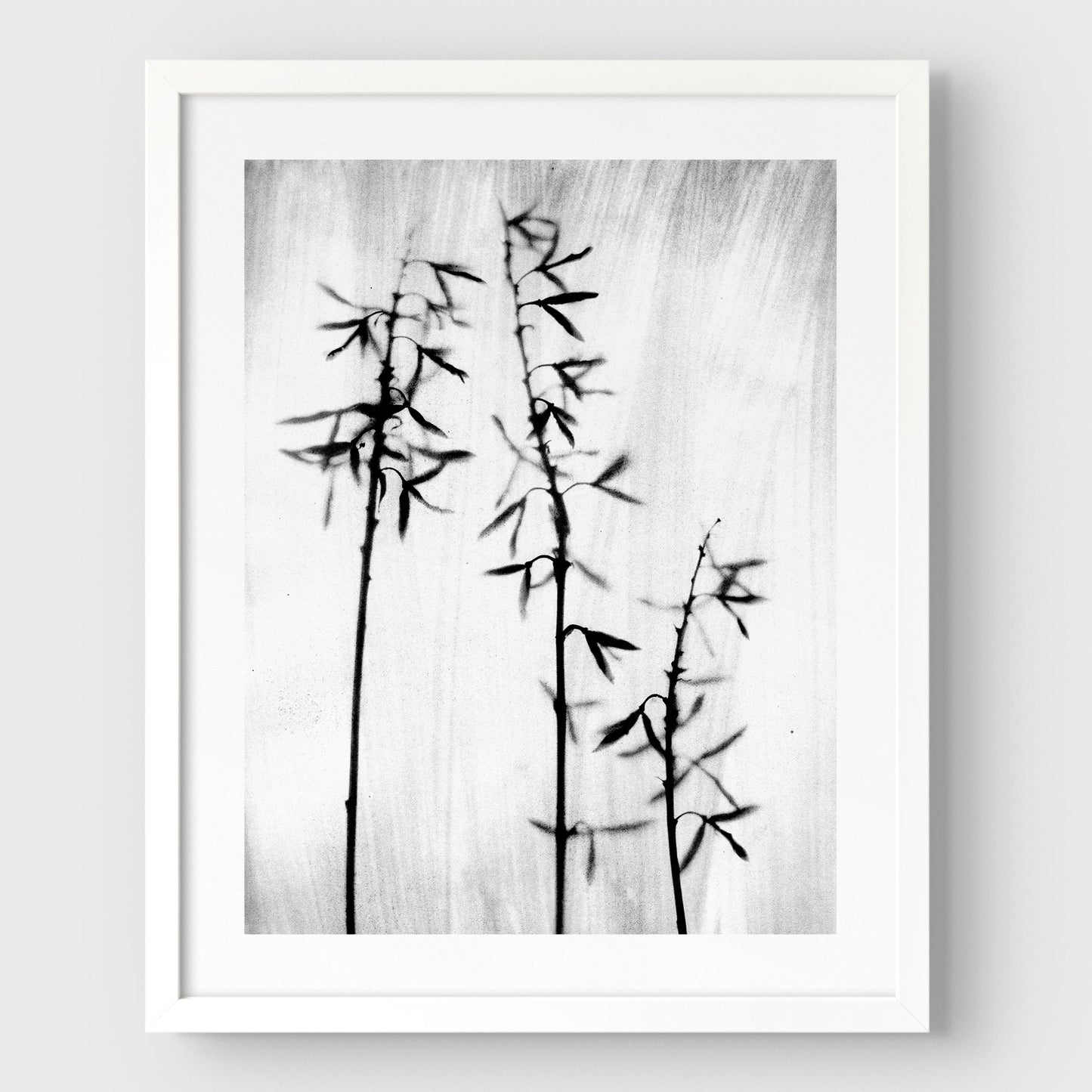 Black and White Bamboo Print
