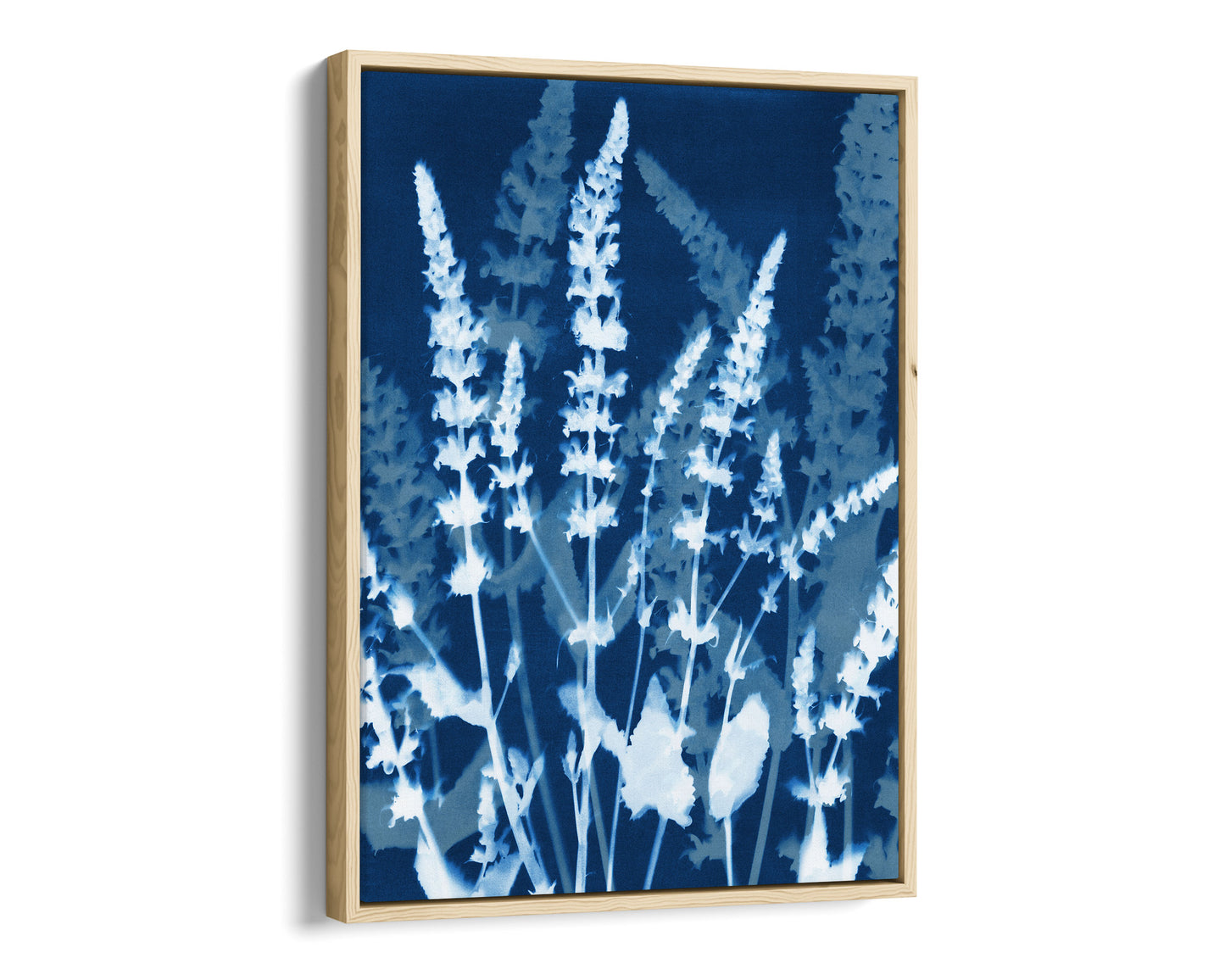 Natural wood framed canvas cyanotype-inspired print featuring layered white salvia blooms on deep indigo, creating a soft silhouette effect with a modern botanical aesthetic.