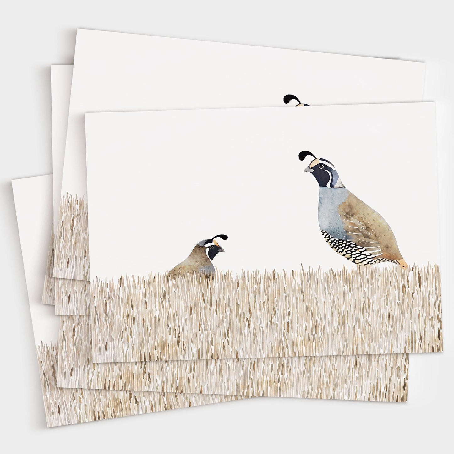 Set of greeting cards featuring a watercolor illustration of two California quail in tall beige grass against a white background, shown stacked in a neat overlapping arrangement.