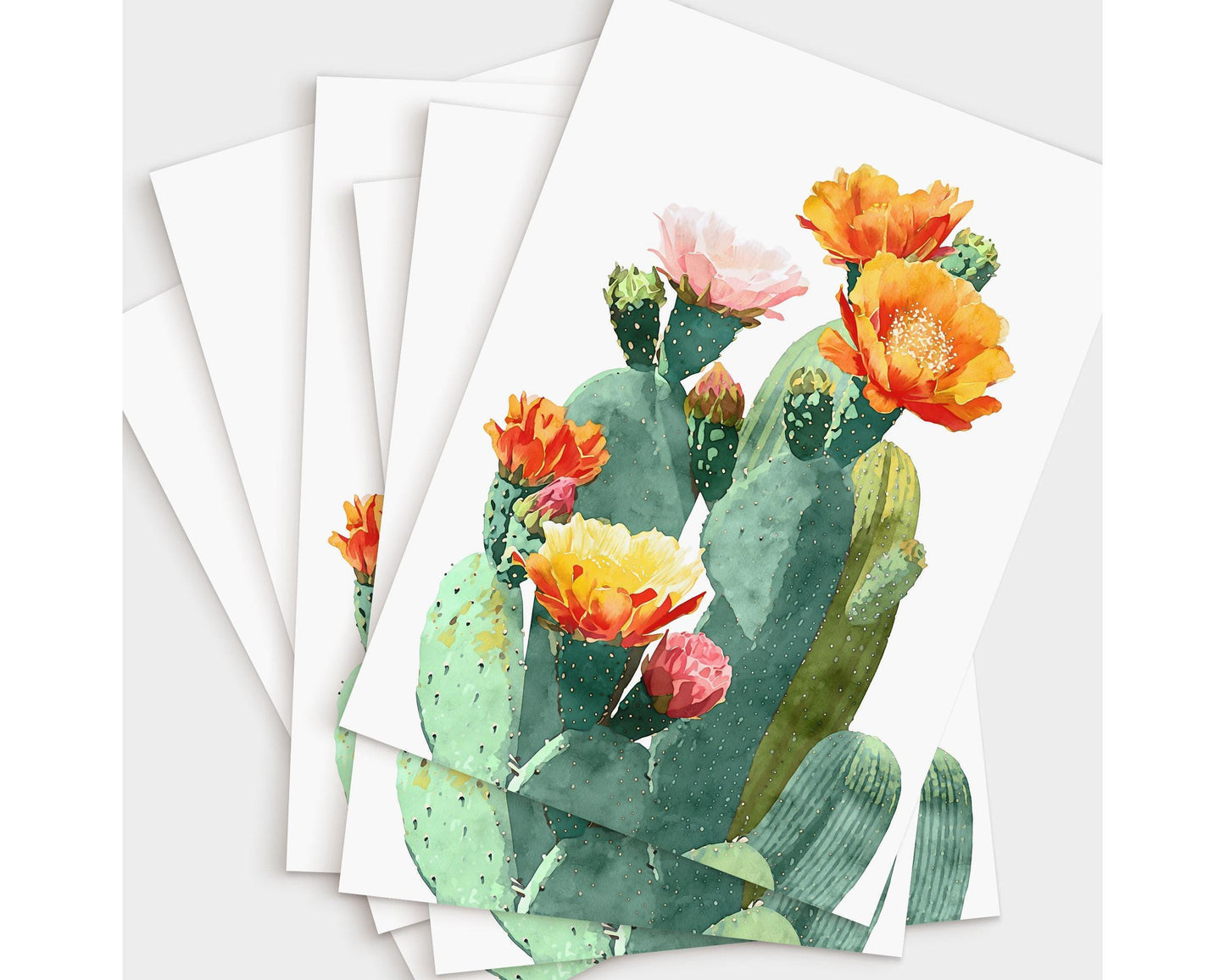 Set of greeting cards featuring a watercolor illustration of prickly pear cacti with vivid orange, yellow, pink, and red blossoms, displayed in a slightly fanned arrangement on a white background.