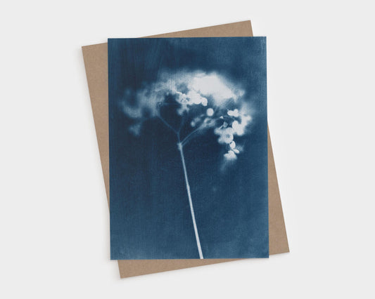 Greeting card featuring a botanical cyanotype-style print of a single delicate flower stem in deep indigo blue and white tones, paired with a kraft brown envelope on a light background.