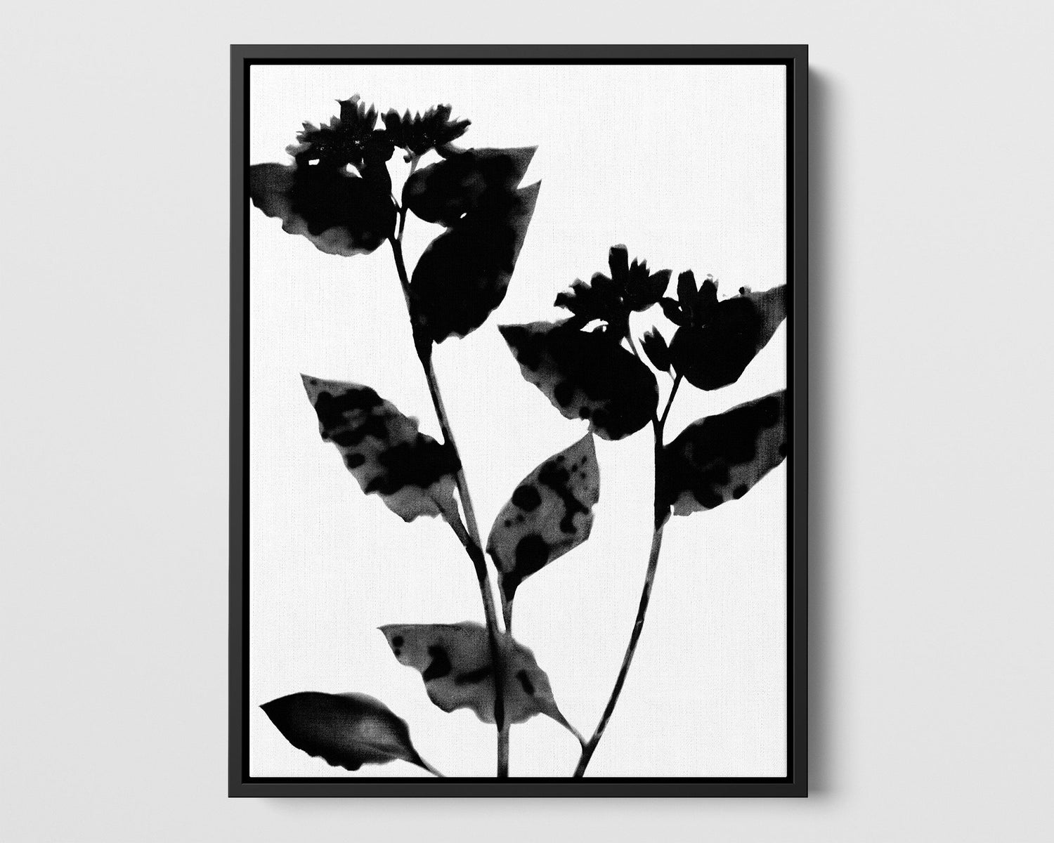 Black and white silhouette of two flowers with broad leaves, framed in a simple black frame against a white background.