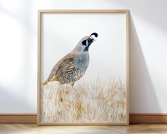 Minimalist watercolor painting of a California quail standing in golden grasses, rendered in muted tones of blue, gray, and brown. The artwork is framed in light wood and displayed against a white wall with soft natural light.
