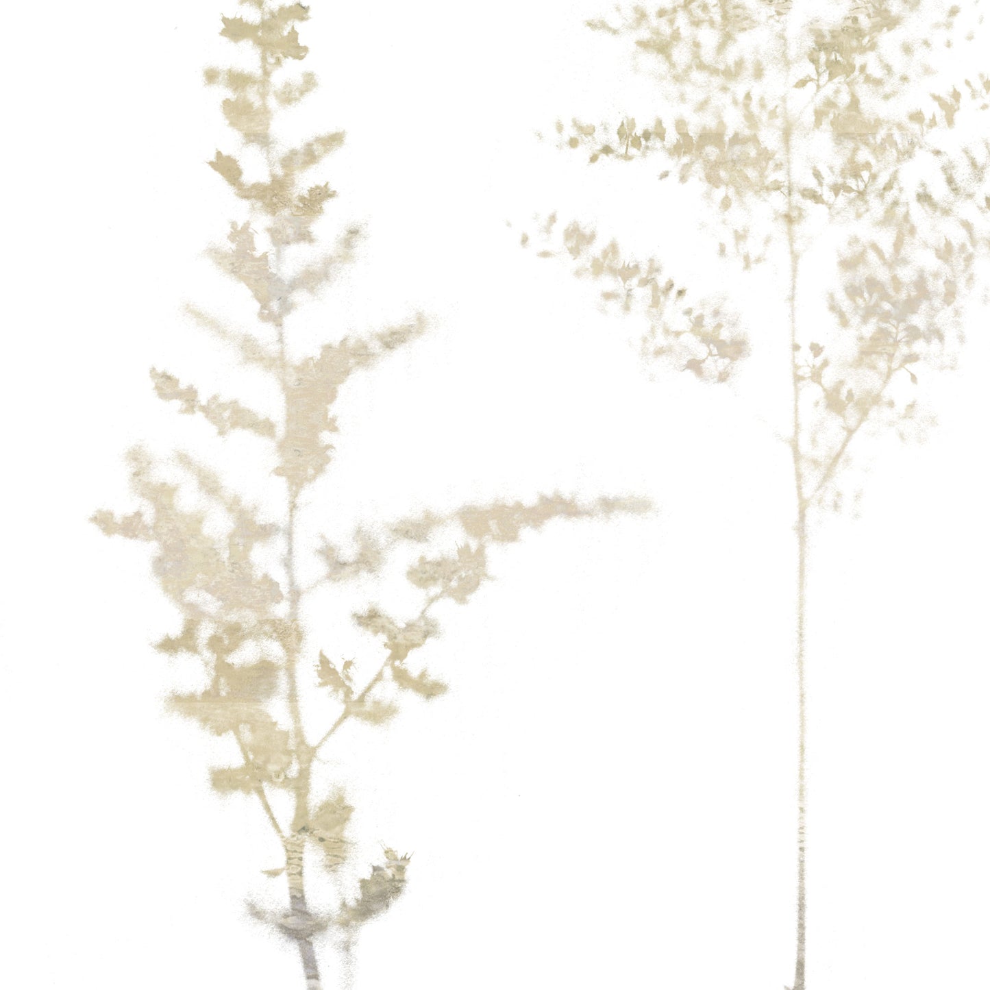 Beige Minimalist Wildflower Botanical Print