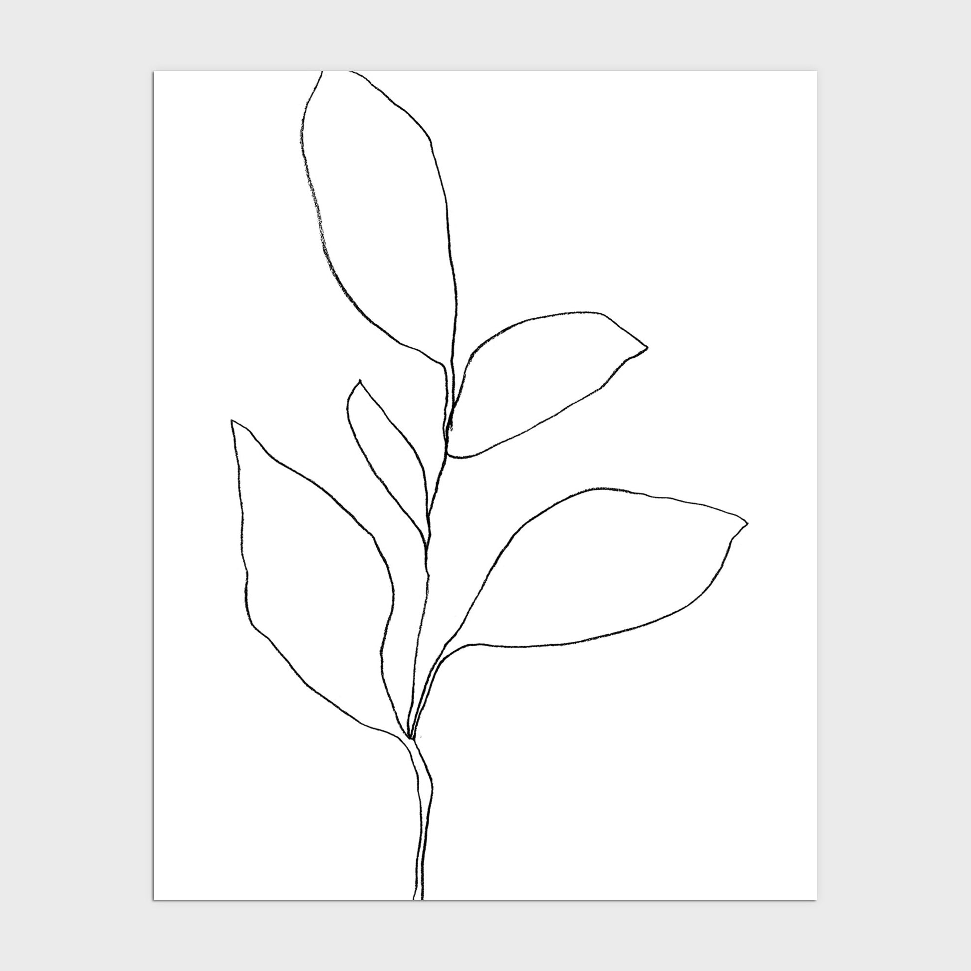 Five Leaf Plant Black and White Minimalist Botanical Line Drawing Print