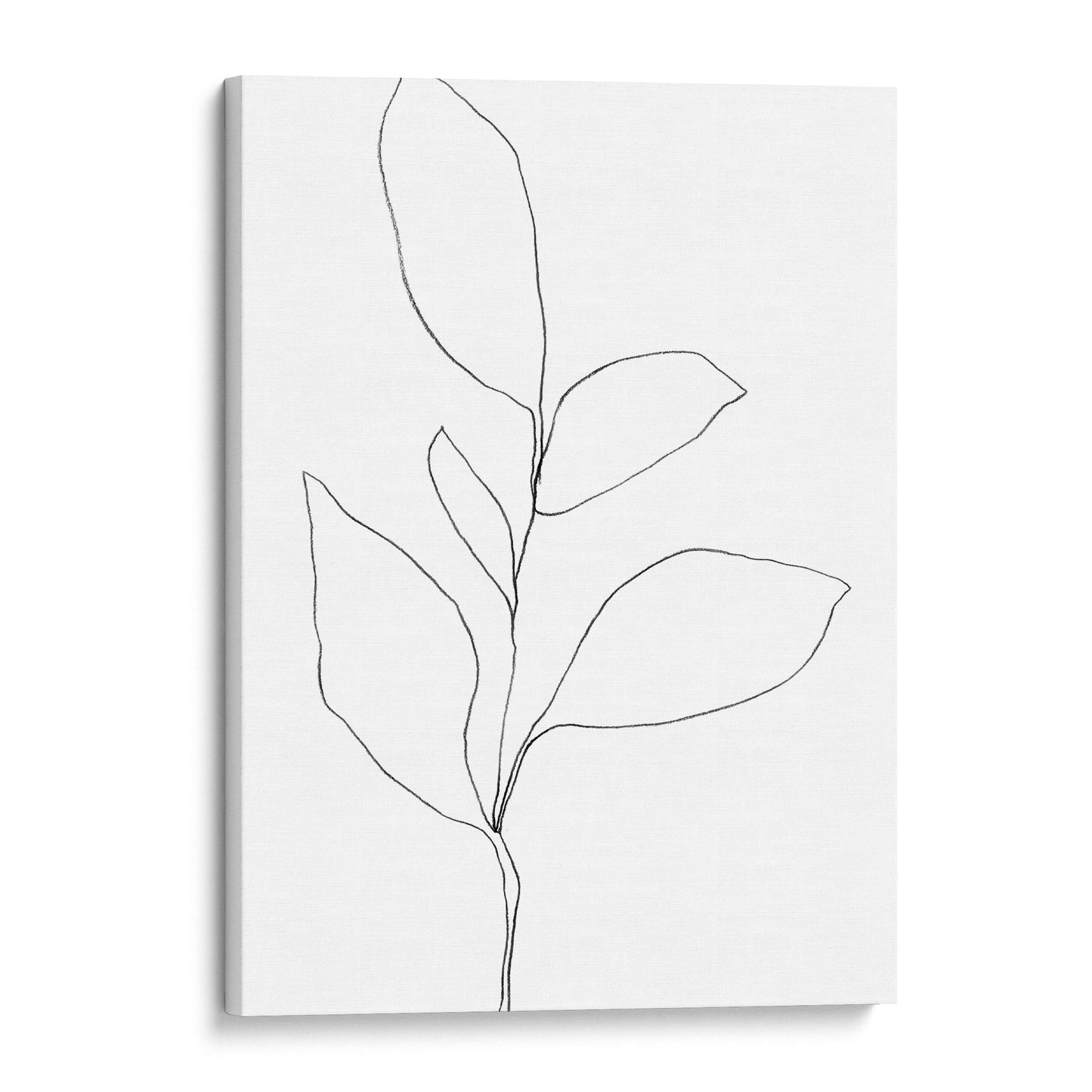 Five Leaf Plant Black and White Minimalist Botanical Line Drawing Print