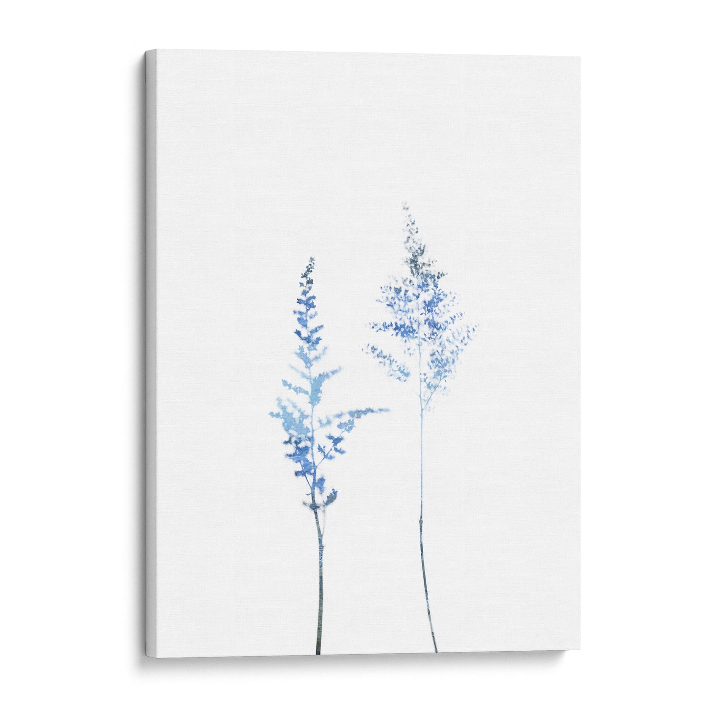 Blue Astilbe Minimalist Wildflower Print