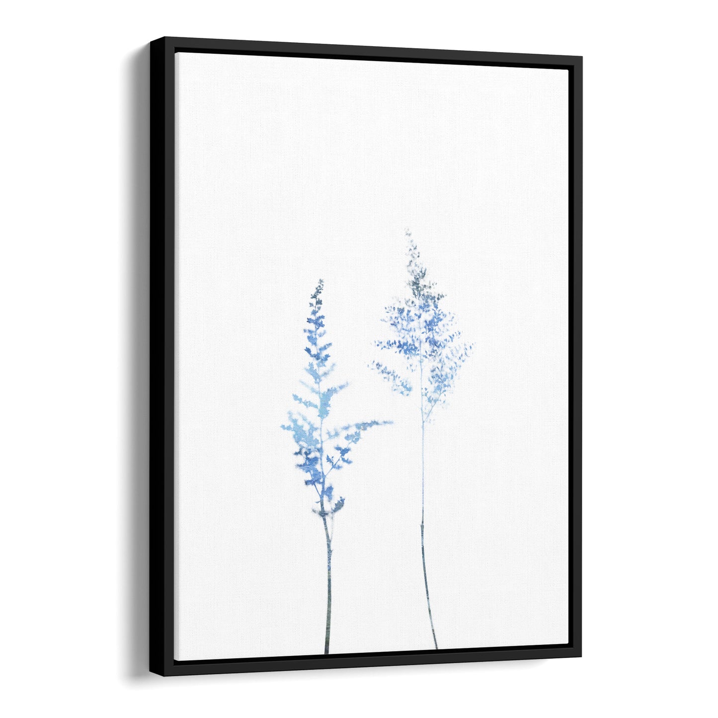 Blue Astilbe Minimalist Wildflower Print