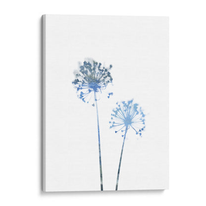 Blue Dandelion Flowers Minimalist Botanical Print