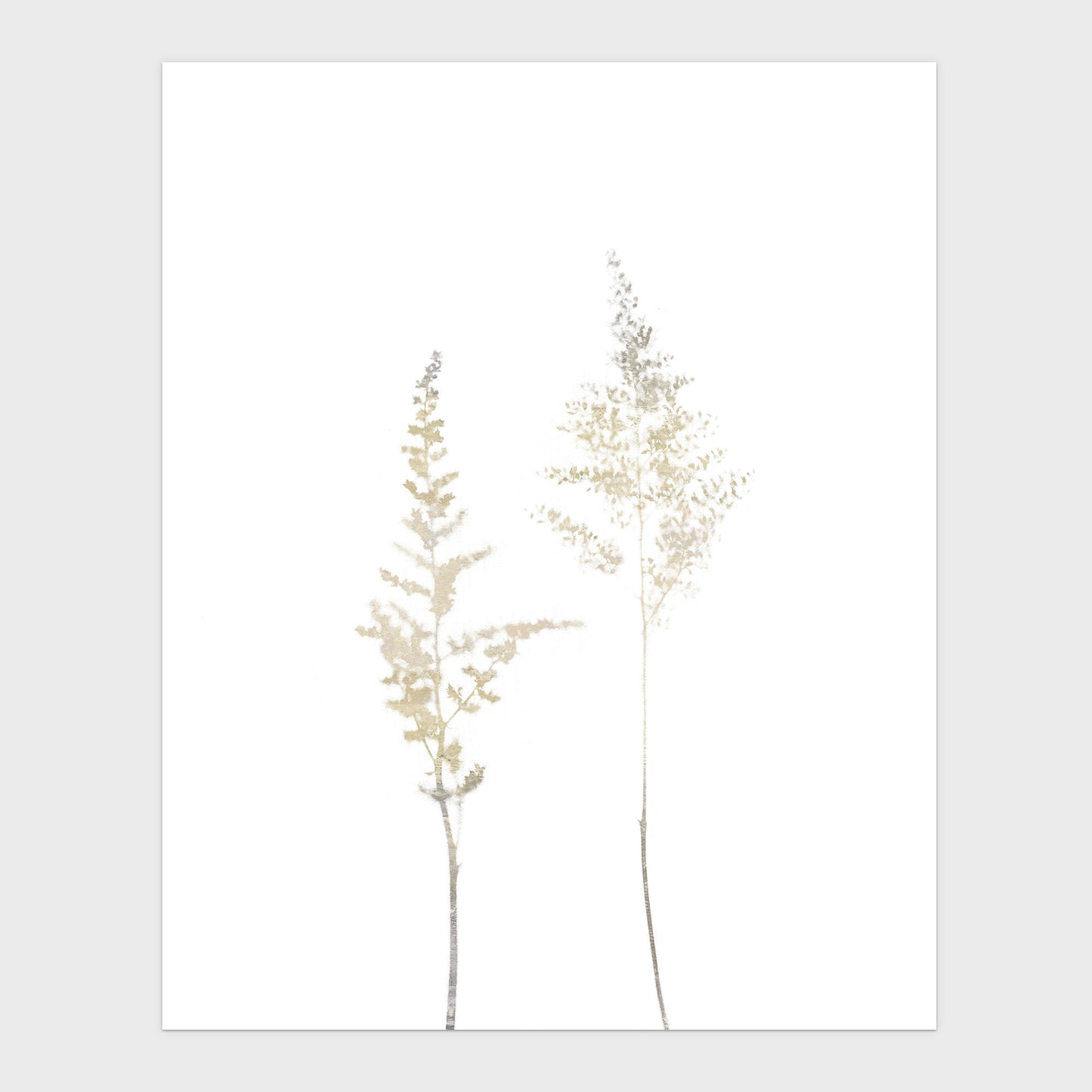 Beige Minimalist Wildflower Botanical Print