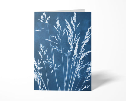 Greeting card featuring a cyanotype-style botanical print of delicate grass stems and seed heads in white against a deep blue background, displayed standing upright against a white backdrop.