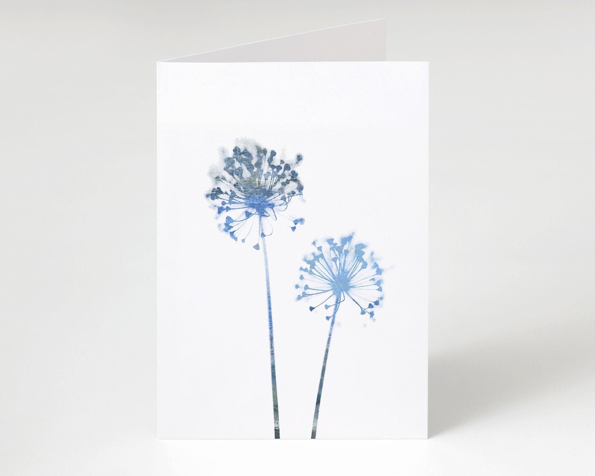 Folded greeting card standing upright, featuring two blue watercolor allium flowers on a crisp white background, photographed against a clean, light grey surface.