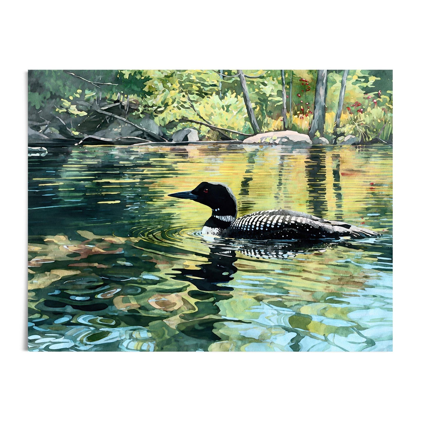 Watercolor painting of a common loon swimming across a tranquil lake surrounded by lush green foliage and dappled sunlight. The bird’s black head, red eye, and patterned white markings reflect vividly in the rippling golden and blue water, evoking the calm beauty of a northern summer morning.