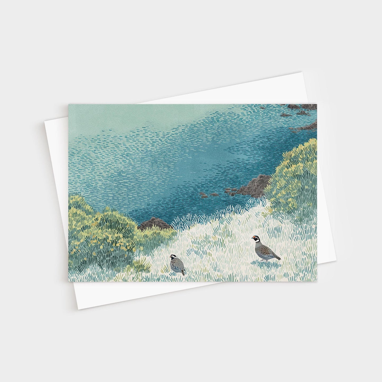 Greeting card featuring an illustrated landscape of two quail walking through soft, textured grass near a blue and green hillside. The background suggests a coastal bluff or meadow, with painterly brush marks and layered color. A white envelope is partially visible underneath.