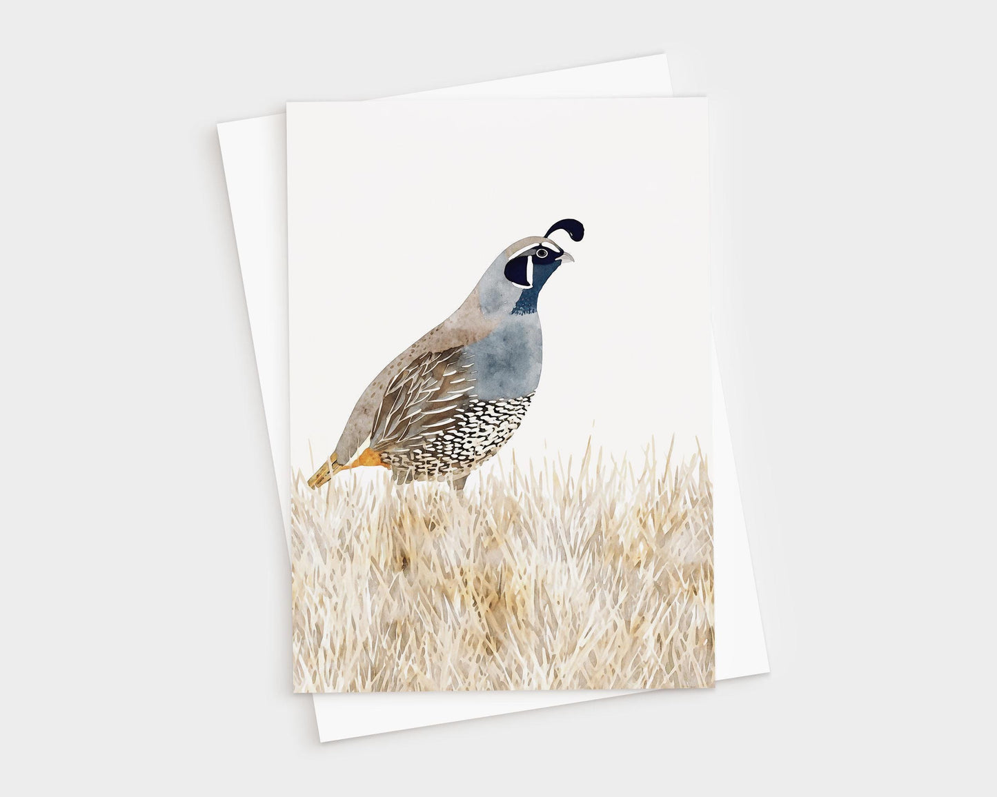 Watercolor greeting card featuring a California quail standing in golden grasses, painted in soft shades of blue, gray, brown, and cream. The card is displayed with a matching white envelope.