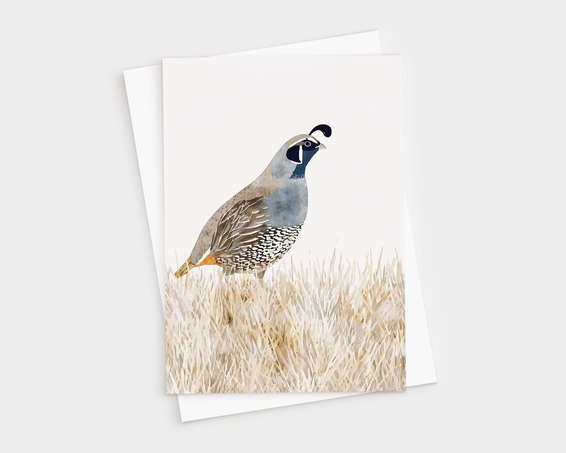 Watercolor greeting card featuring a California quail standing in golden grasses, painted in soft shades of blue, gray, brown, and cream. The card is displayed with a matching white envelope.