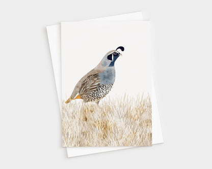 Watercolor greeting card featuring a California quail standing in golden grasses, painted in soft shades of blue, gray, brown, and cream. The card is displayed with a matching white envelope.
