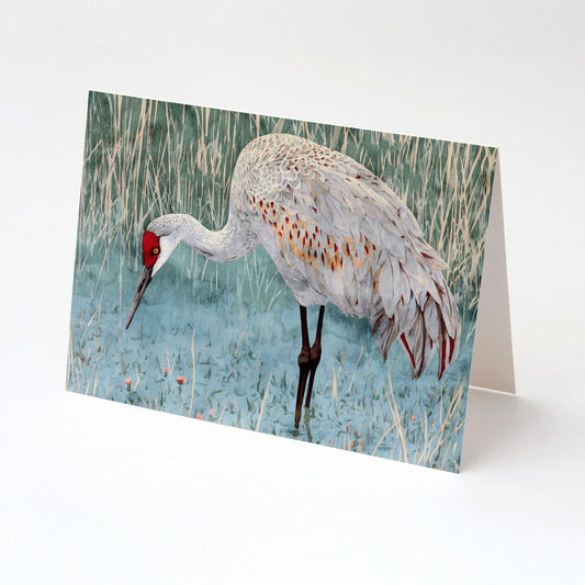 Folded greeting card featuring a watercolor sandhill crane with a red crown and gray plumage accented in russet, standing in shallow blue water among tall marsh reeds. The card is displayed against a clean white background.