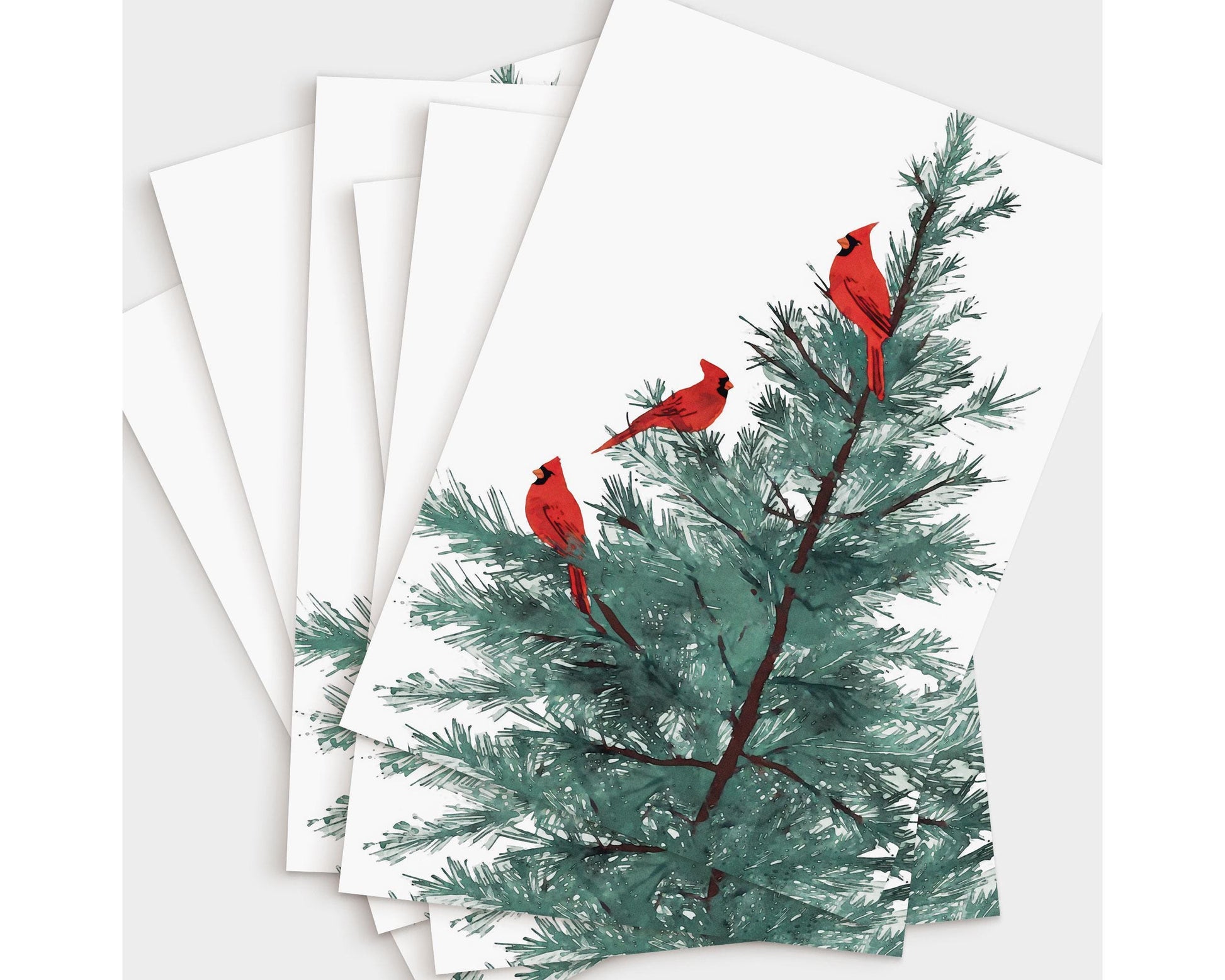 Set of greeting cards featuring an illustration of three red cardinals perched on the branches of a pine tree. The cards are fanned out, showing multiple copies of the same festive design against a white background.