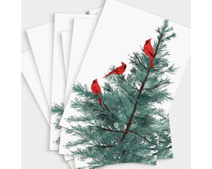 Set of greeting cards featuring an illustration of three red cardinals perched on the branches of a pine tree. The cards are fanned out, showing multiple copies of the same festive design against a white background.