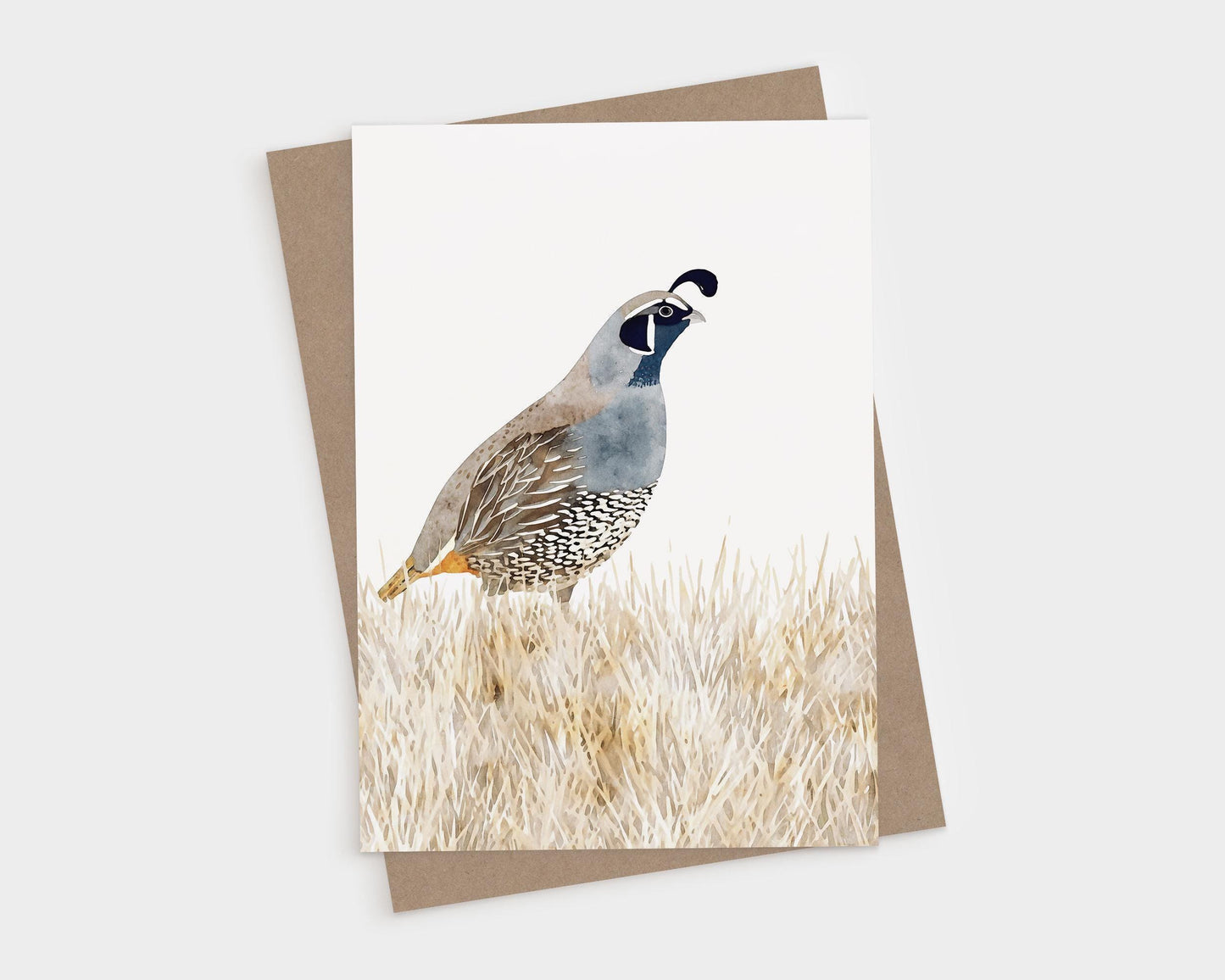 Watercolor greeting card featuring a California quail standing in golden grasses, painted in soft shades of blue, gray, brown, and cream. The card is displayed with a matching kraft envelope.