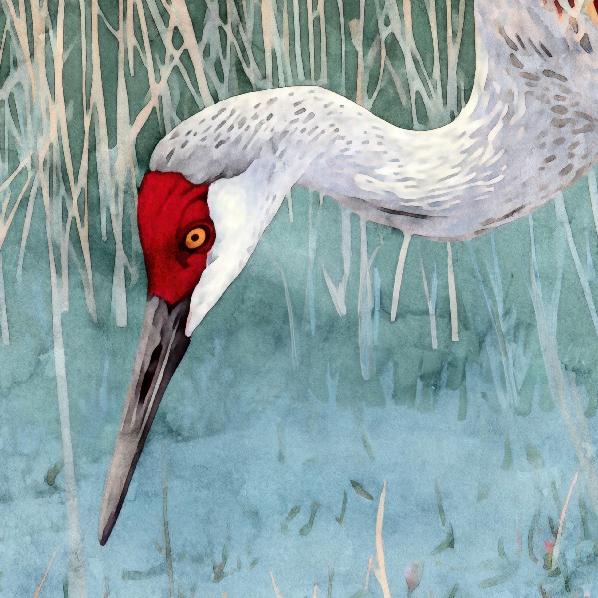 Close-up of a watercolor painting showing the head and neck of a sandhill crane. The bird has a vivid red crown, golden eye, and long pointed beak, with soft gray feathers blending into a marshy blue-green background of grasses.