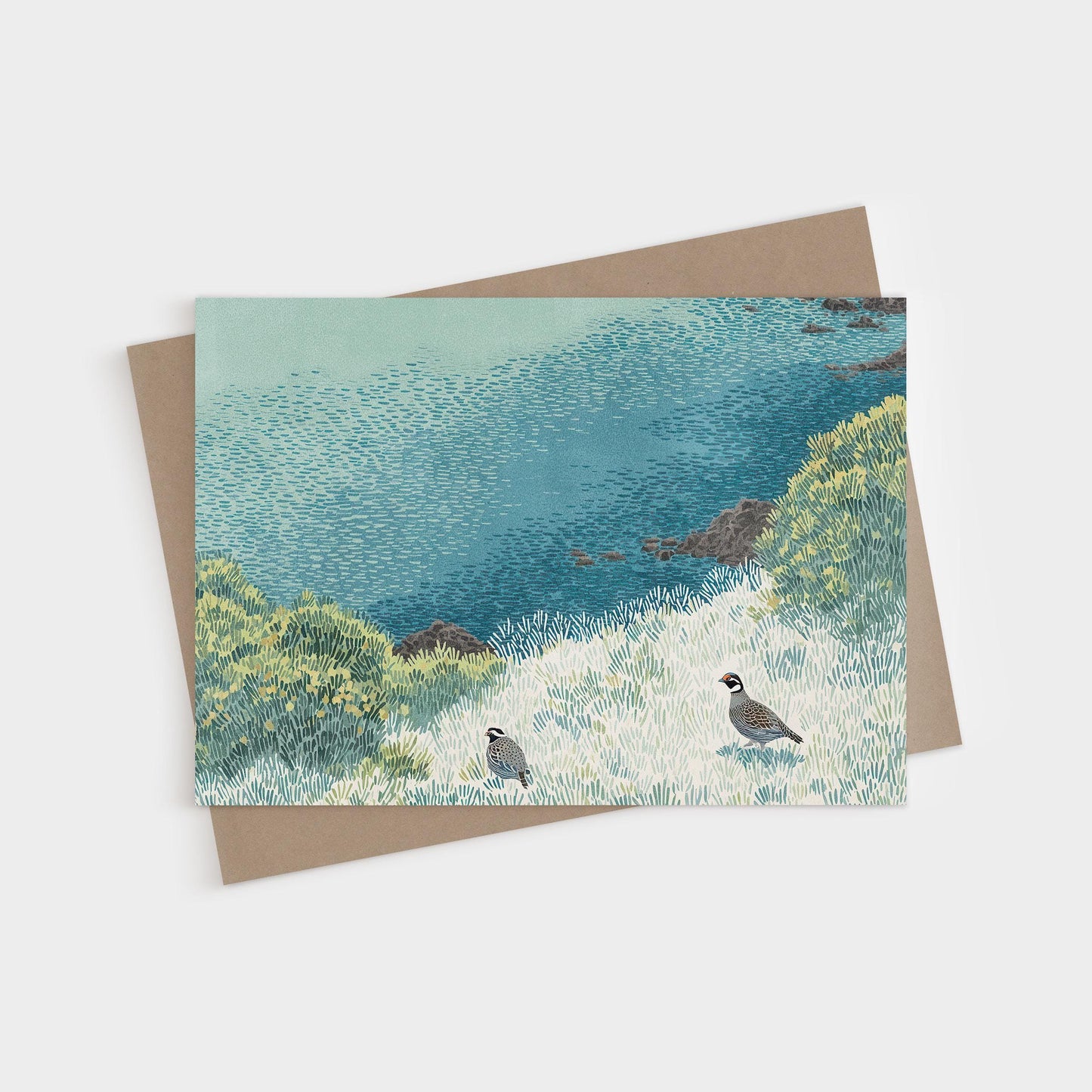 Greeting card featuring an illustrated landscape of two quail walking through soft, textured grass near a blue and green hillside. The background suggests a coastal bluff or meadow, with painterly brush marks and layered color. A kraft brown envelope is partially visible underneath.