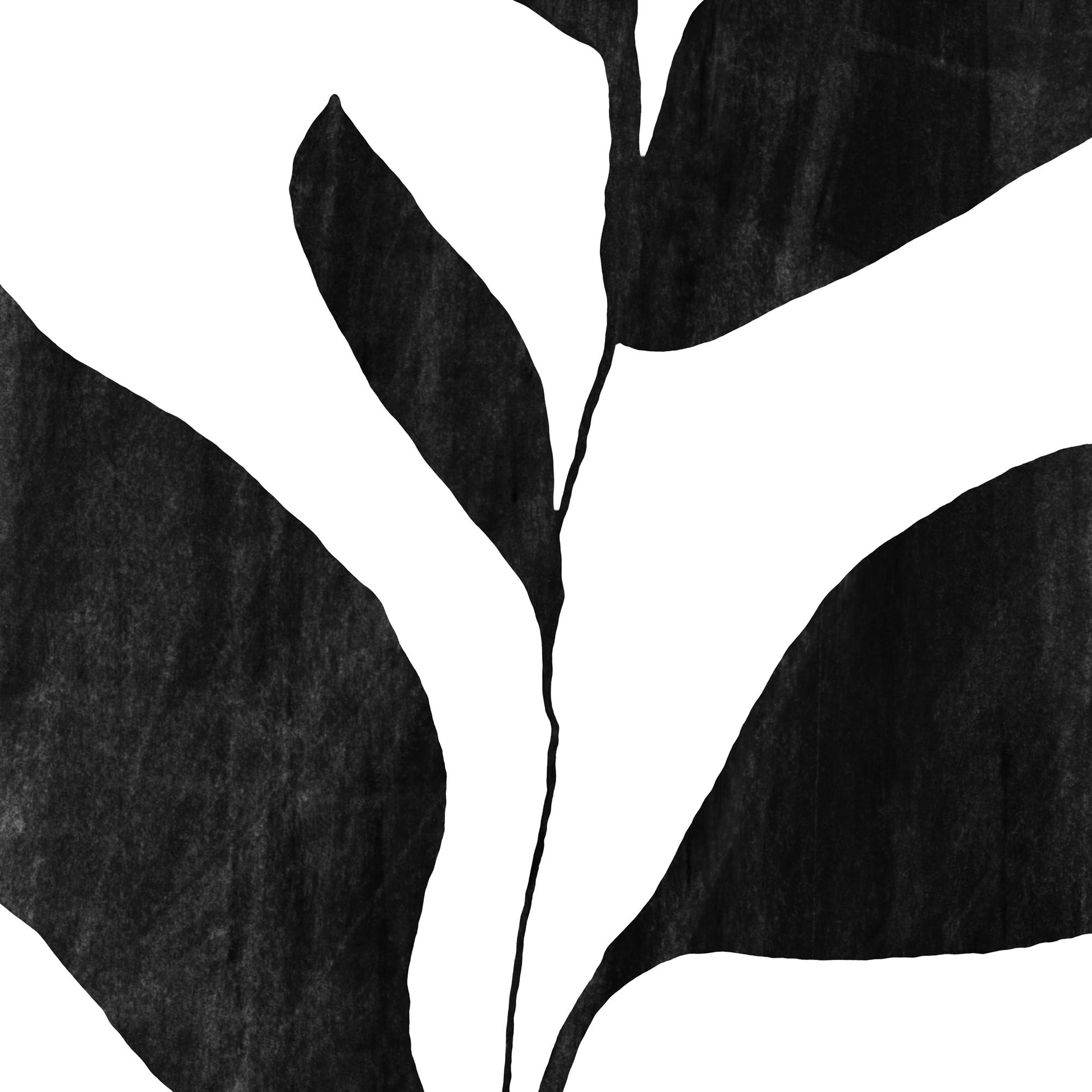 Five Leaf Plant Black and White Botanical Silhouette Painting Print