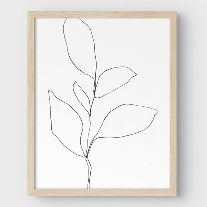 Five Leaf Plant Black and White Minimalist Botanical Line Drawing Print