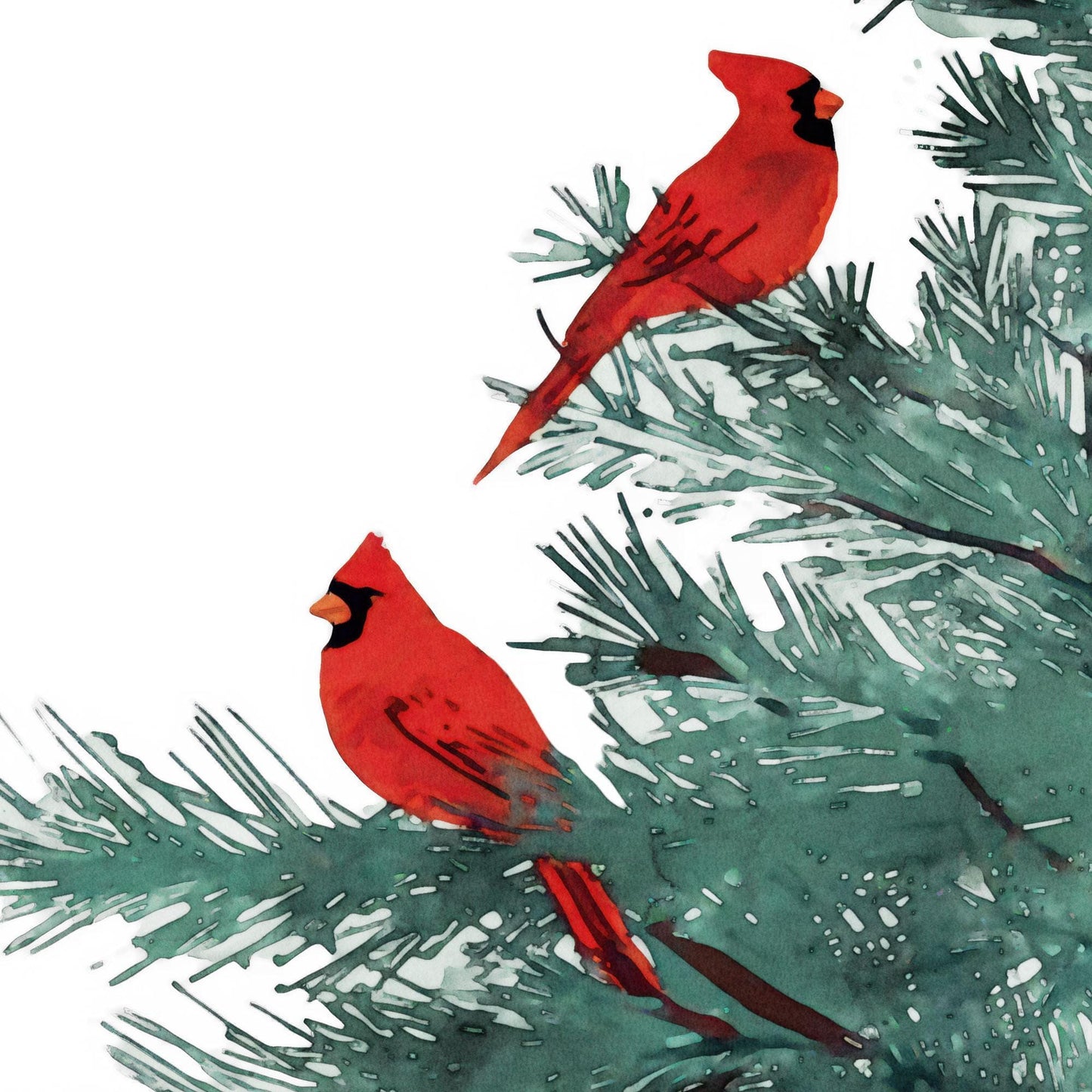 Red Cardinal Trio Winter Pine Tree Note Cards