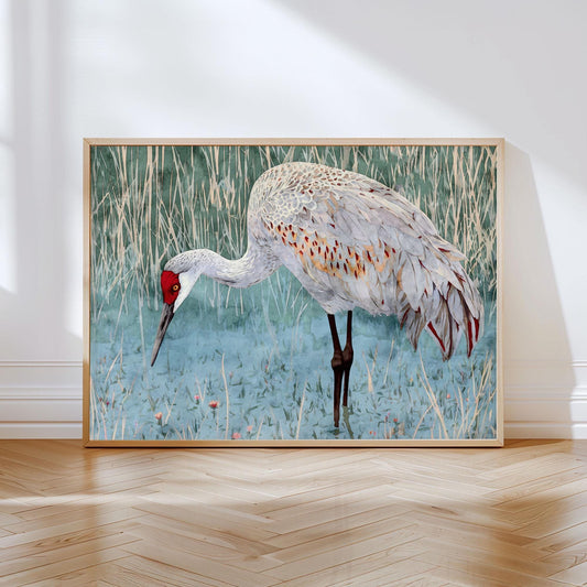 Watercolor painting of a sandhill crane with a striking red crown, standing in shallow blue-green water with tall grasses in the background. The bird’s soft gray and white feathers are accented with touches of orange, displayed in a light wood frame leaning against a wall on a herringbone wood floor.