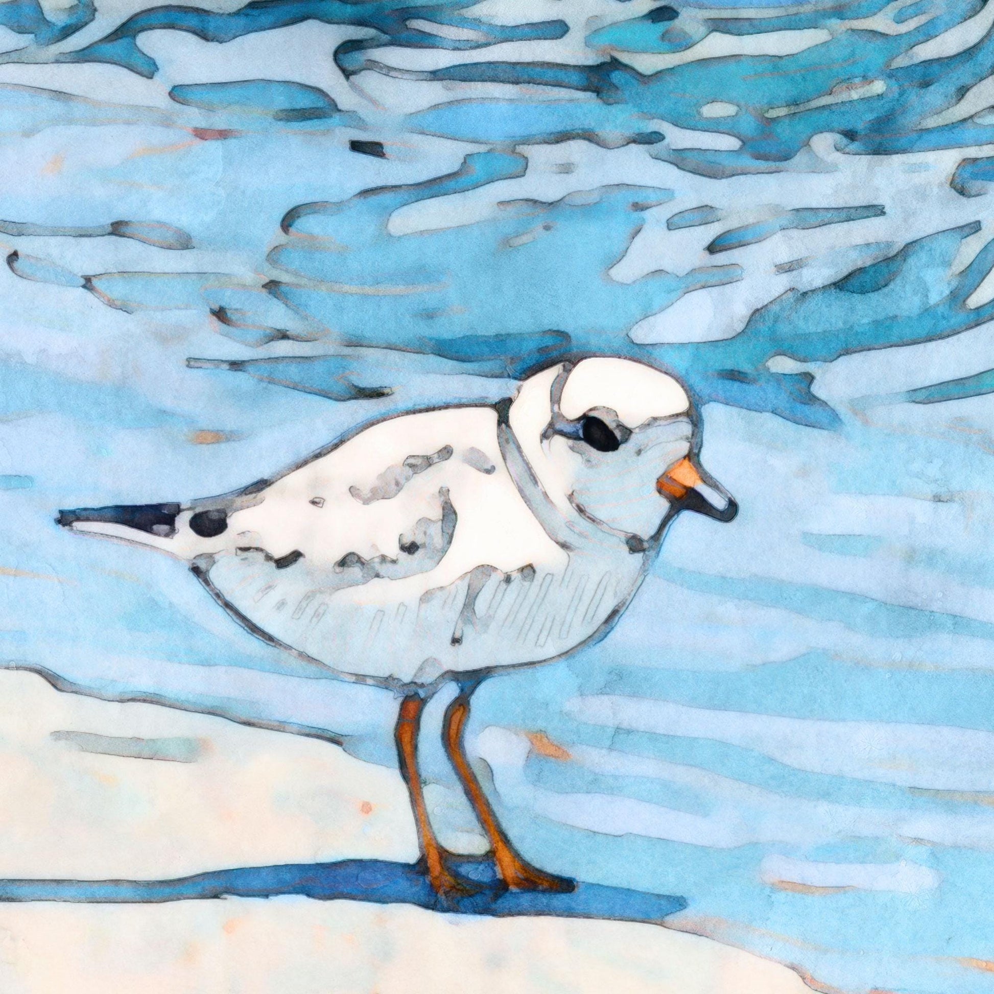 Close-up of a watercolor and ink illustration showing a small white shorebird with an orange beak and legs, standing on sandy ground beside rippling blue water. The bird’s feathers are lightly detailed with gray shading and fine black outlines, while the background features fluid, painterly strokes capturing the movement of the sea.