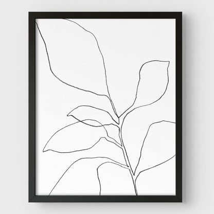 Six Leaf Plant Black and White Minimalist Botanical Line Drawing Print