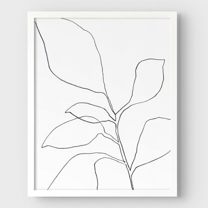 Six Leaf Plant Black and White Minimalist Botanical Line Drawing Print