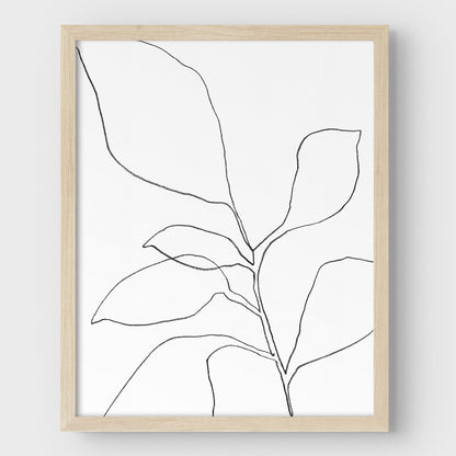 Six Leaf Plant Black and White Minimalist Botanical Line Drawing Print