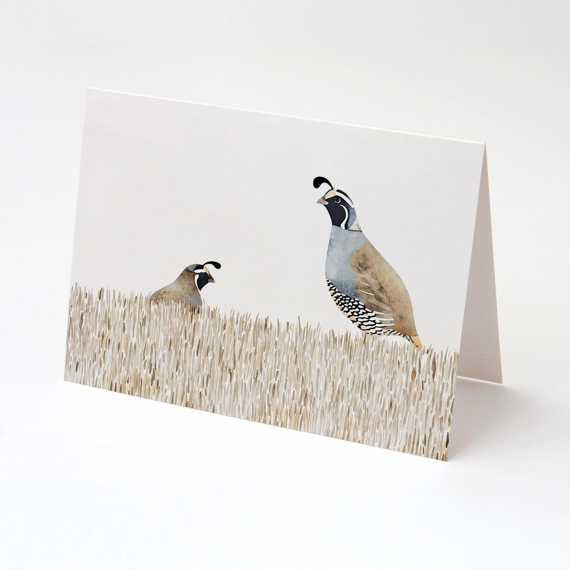 Folded greeting card featuring a watercolor illustration of two California quail in tall beige grass, shown standing open against a plain white background.