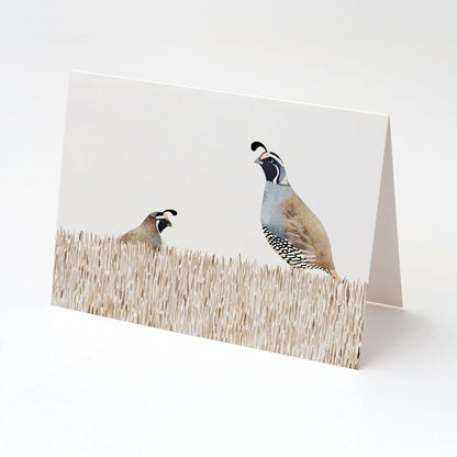Folded greeting card featuring a watercolor illustration of two California quail in tall beige grass, shown standing open against a plain white background.