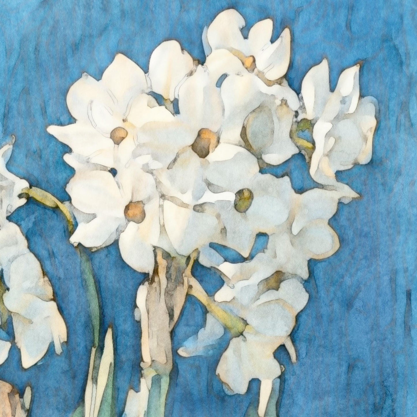 Close-up watercolor-style painting of white narcissus flowers with soft petals and golden centers, set against a rich blue background. The delicate brushwork highlights the layered blooms and green stems, giving the piece a light, airy, and textured appearance.