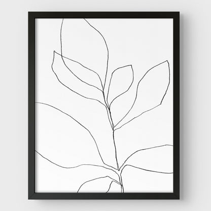 Seven Leaf Plant Black and White Minimalist Botanical Line Drawing Print