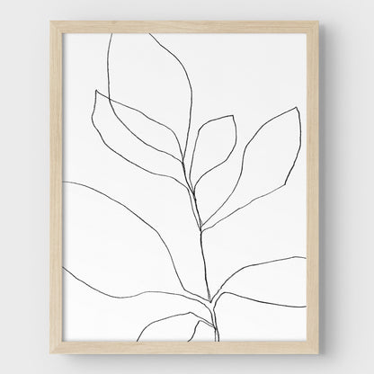 Seven Leaf Plant Black and White Minimalist Botanical Line Drawing Print