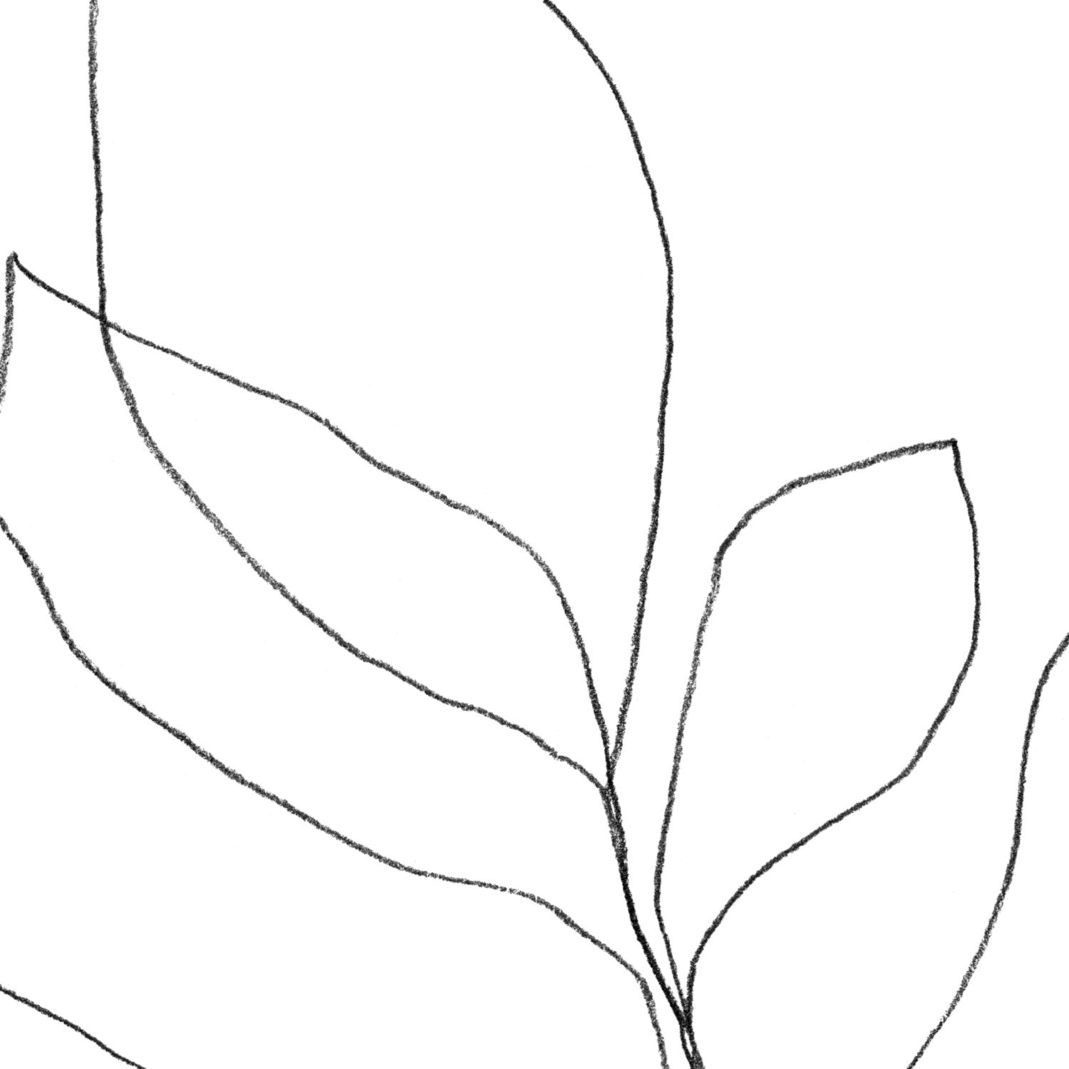 Seven Leaf Plant Black and White Minimalist Botanical Line Drawing Print