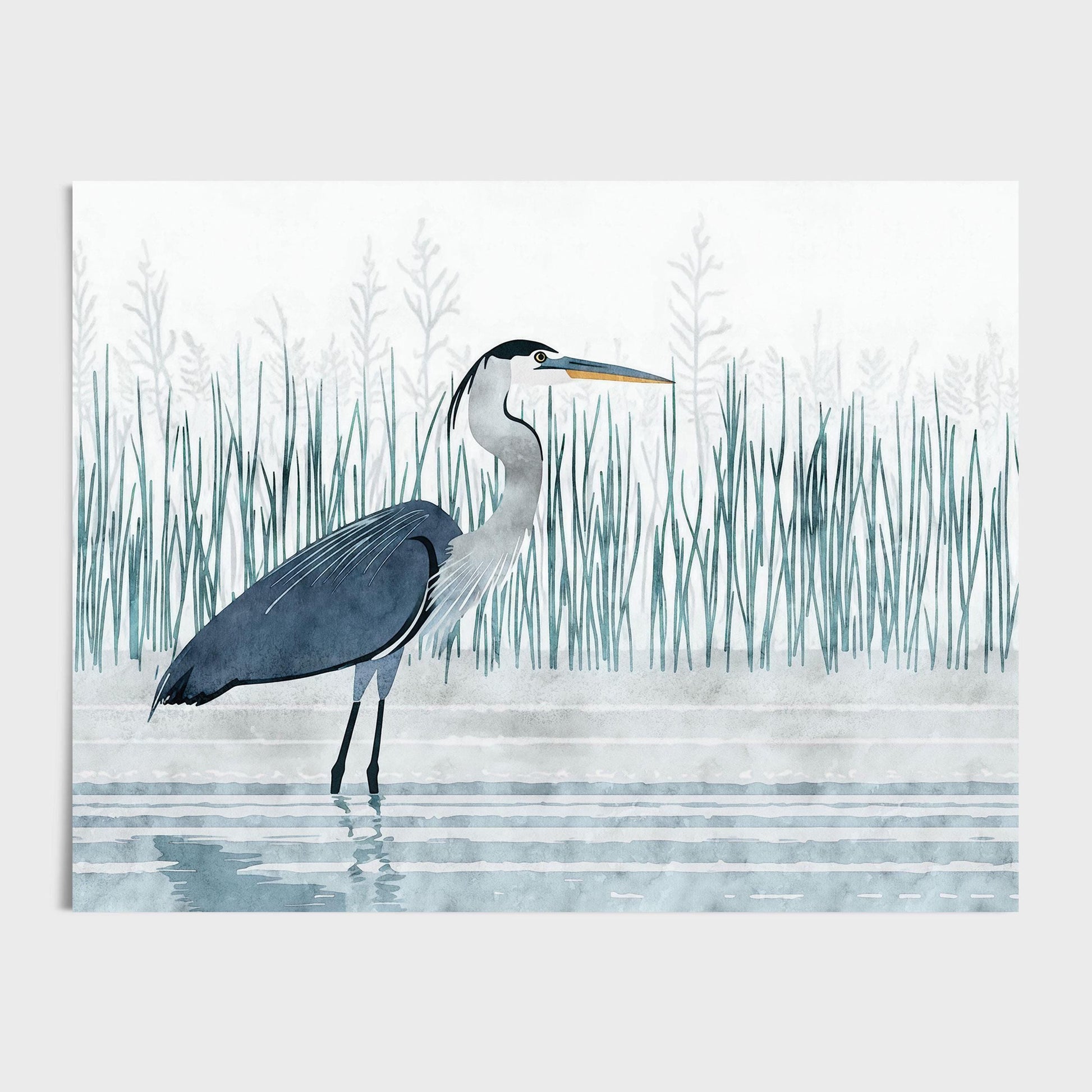 Watercolor-style illustration of a great blue heron standing in shallow water, with its reflection rippling below. The bird is surrounded by tall, slender marsh grasses in muted green and gray tones, set against a soft white background with subtle botanical silhouettes. The composition is minimalist and serene, evoking a peaceful wetland scene.