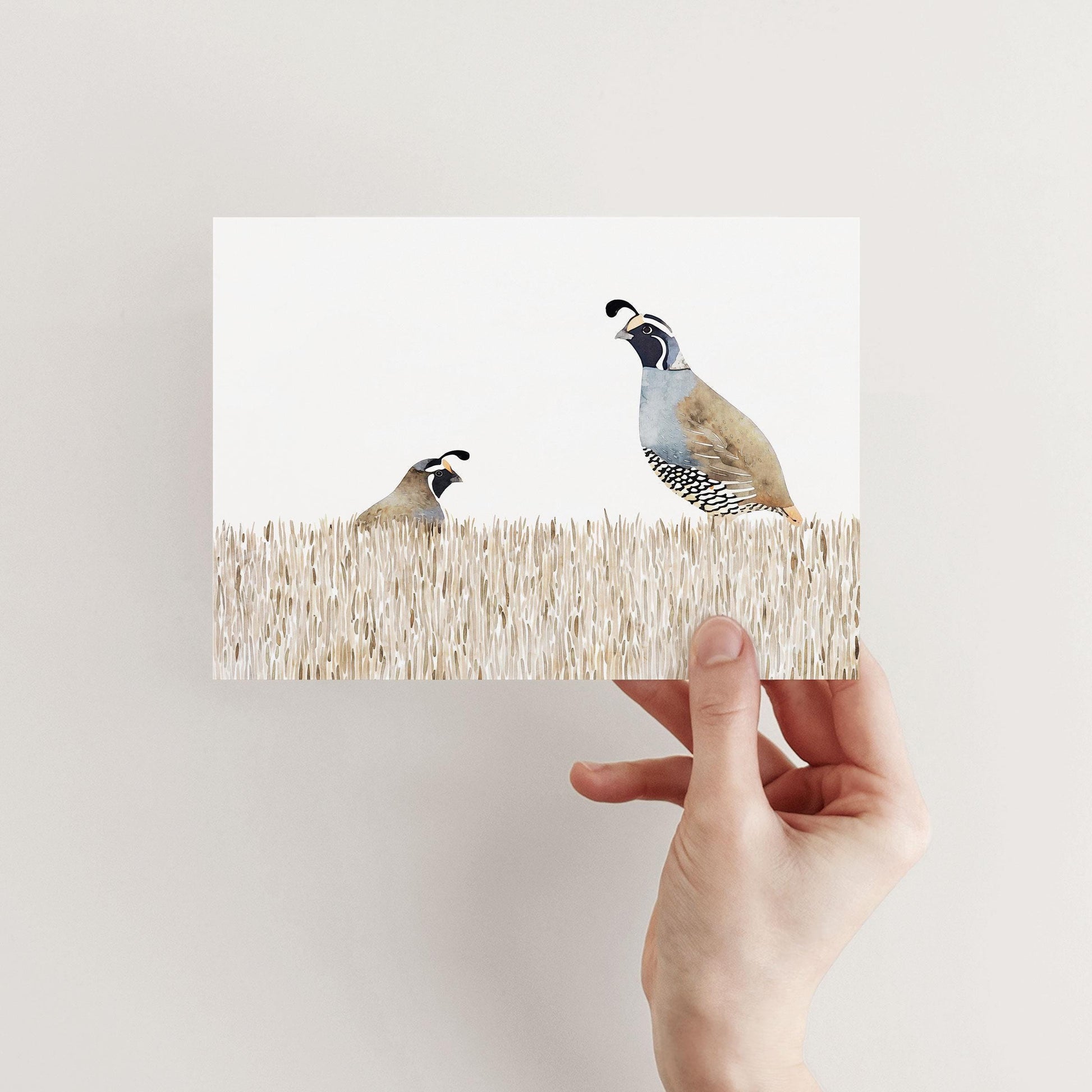 Hand holding a greeting card featuring a watercolor illustration of two California quail standing in tall beige grass, one smaller and one larger, with a clean white background.