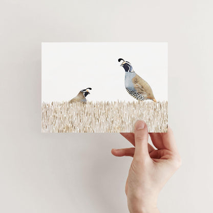 Hand holding a greeting card featuring a watercolor illustration of two California quail standing in tall beige grass, one smaller and one larger, with a clean white background.
