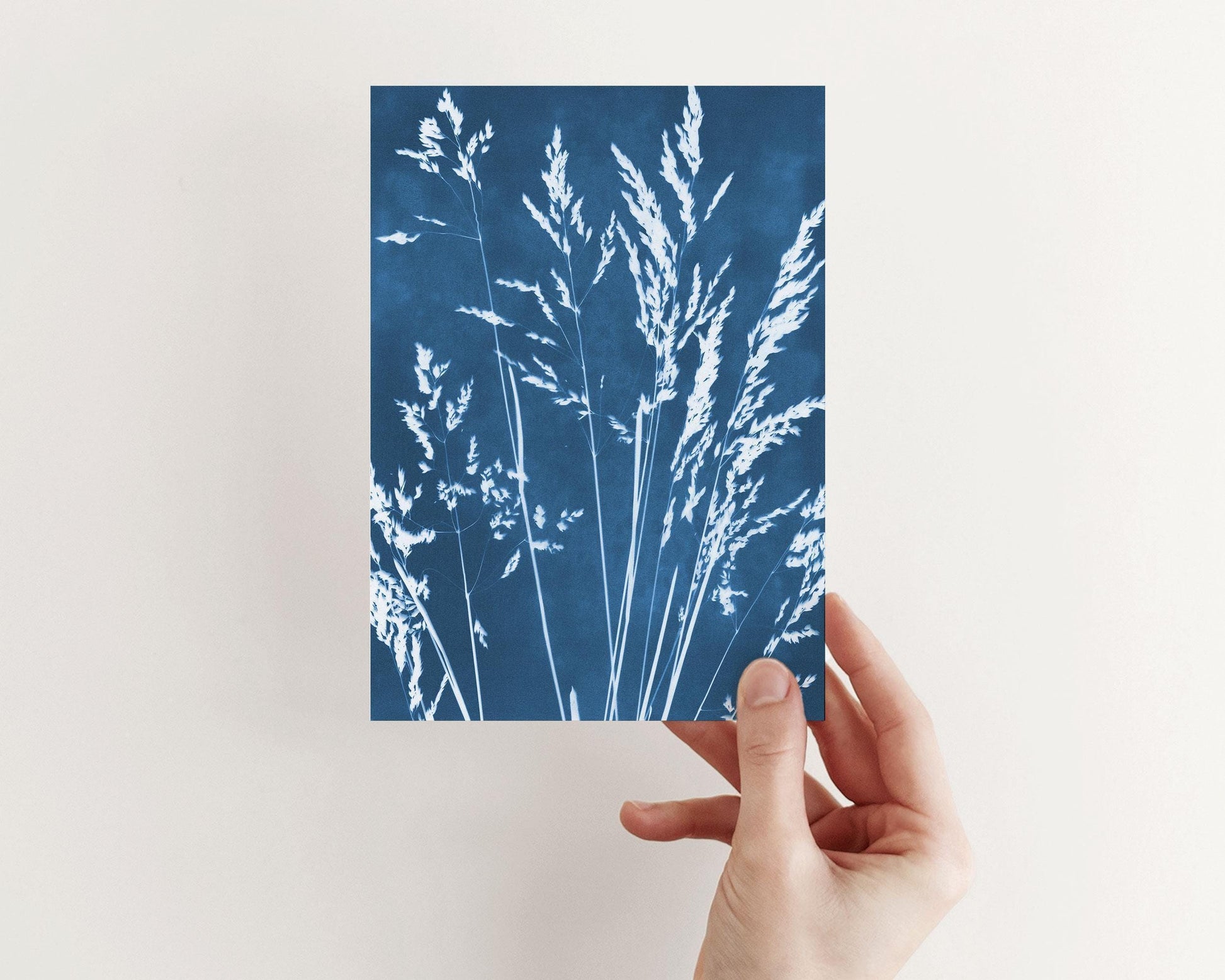 Hand holding a greeting card featuring a cyanotype-style botanical print of delicate grass stems and seed heads in white against a rich blue background.