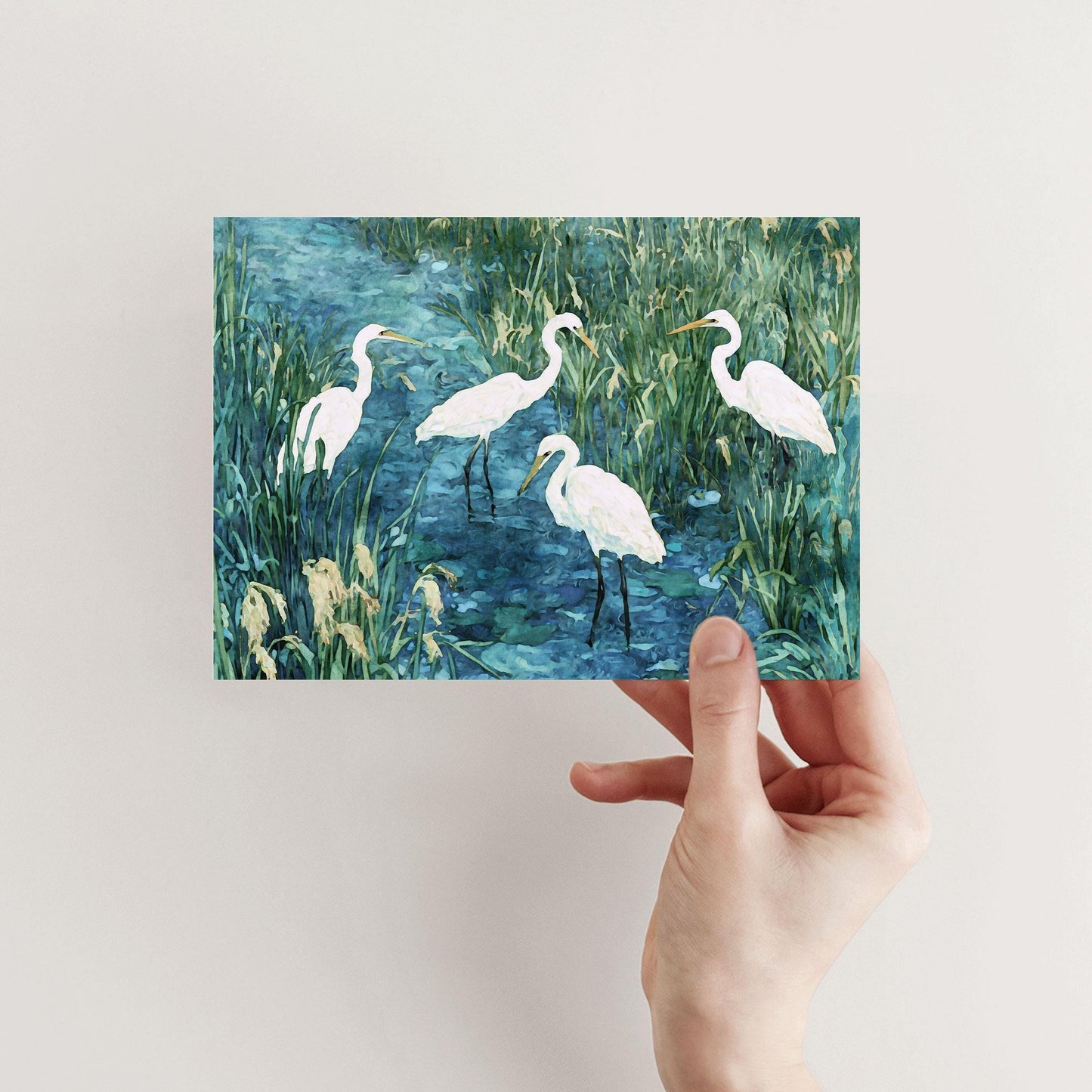 Hand holding a horizontal greeting card featuring a watercolor-style painting of five white egrets standing in a blue-green marsh, surrounded by tall reeds and grasses.